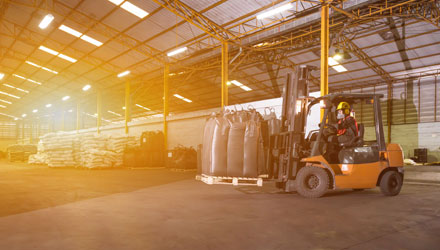 forklift 245